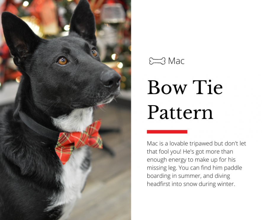 Bow Tie Pattern